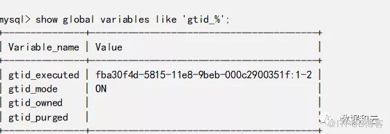 MySQL GTID与MariaDB GTID的不同之处有哪些