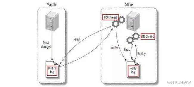 MySQL  8.0主从复制模型的示例分析