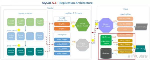 MySQL  8.0主从复制模型的示例分析