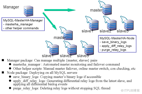 MySQL中HA MHA如何搭建