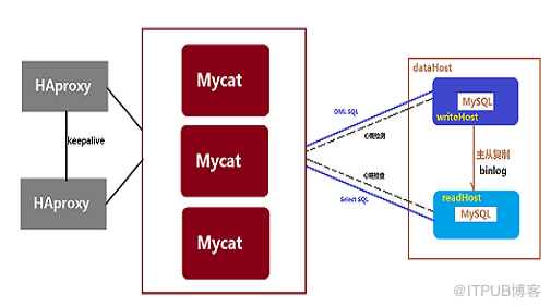 Mycat关键特性介绍