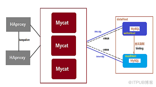 MyCAT高可用方案和架构图