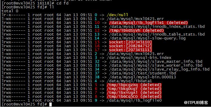 MySQL误删物理文件的恢复（Linux）