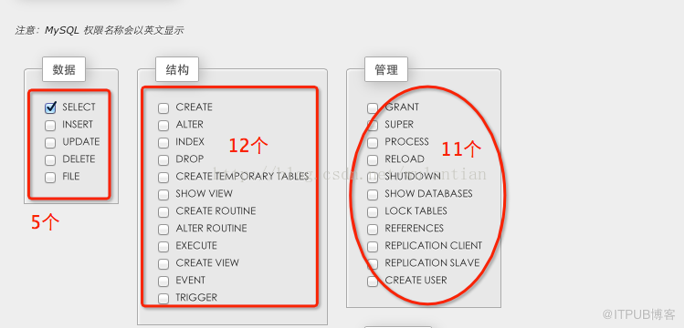 MySQL如何实现用户账户管理