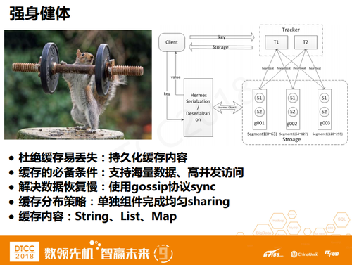 PB级数据持久化缓存系统——lest