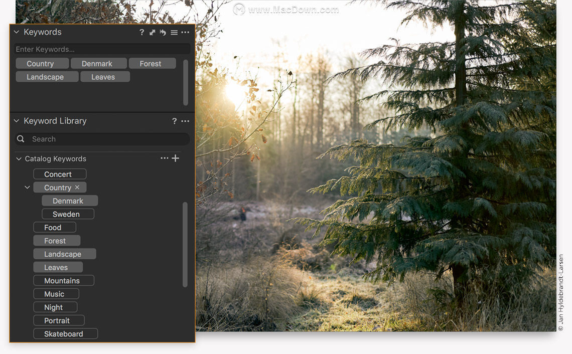 Capture One Pro 20 for Mac软件有哪些功能