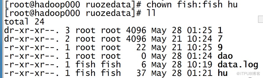 Linux系统的基础命令有哪些