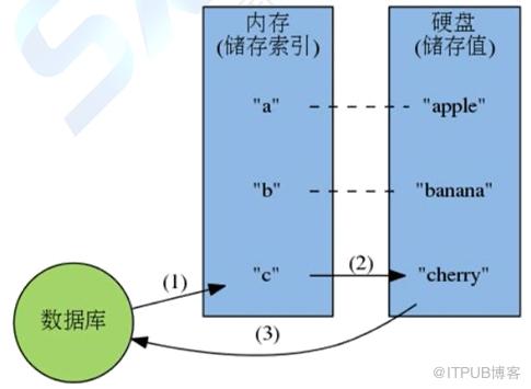 Redis的特点及功能