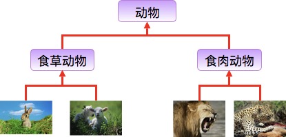 Java面向对象的三大特性