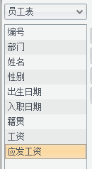 动态 SQL 及安全性（Birt vs 润乾）