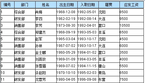 动态 SQL 及安全性（Birt vs 润乾）