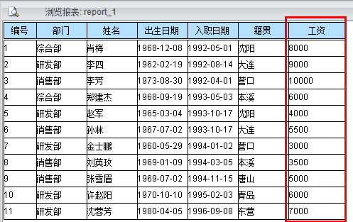 动态 SQL 及安全性（Birt vs 润乾）