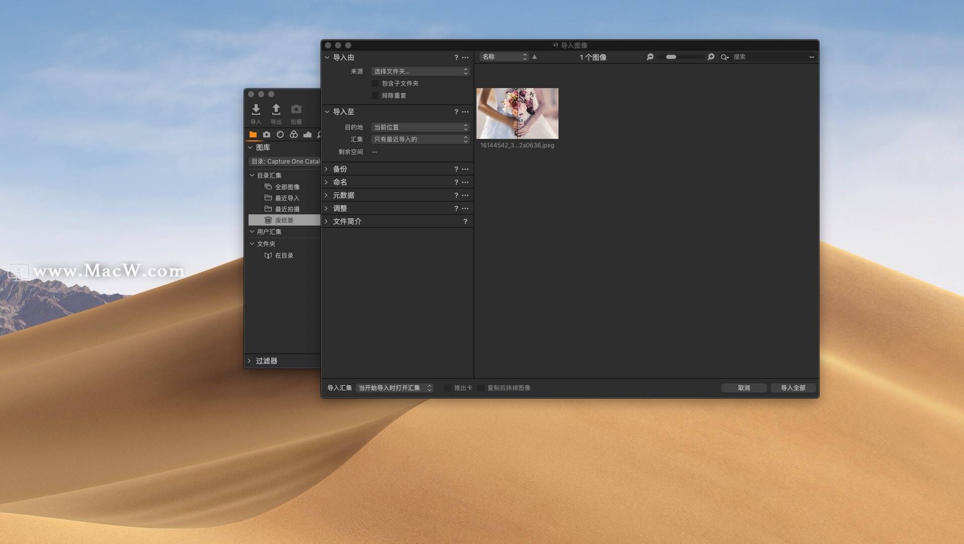 Capture One pro 20 for Mac是一款什么软件