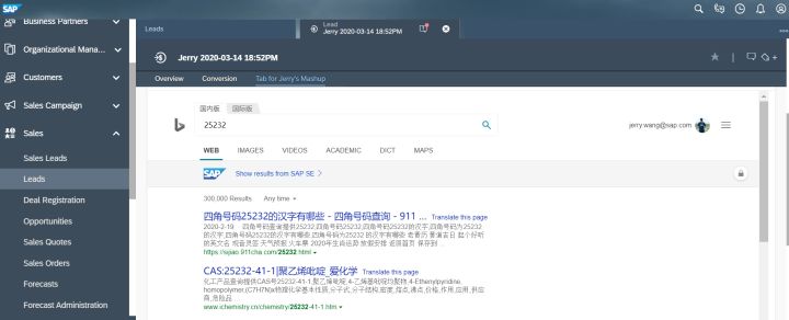 怎样将bing搜索页面以HTML Mashup的方式嵌入到SAP C4C页面