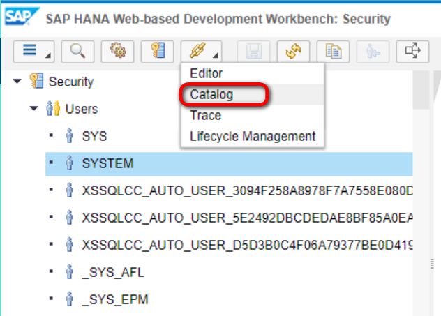 怎么将csv包含的数据导入SAP Cloud Platform HANA MDC里