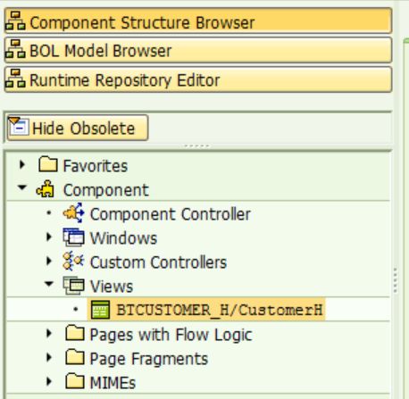 SAP CRM CUSTOMER_H扩展字段的设计原理是什么