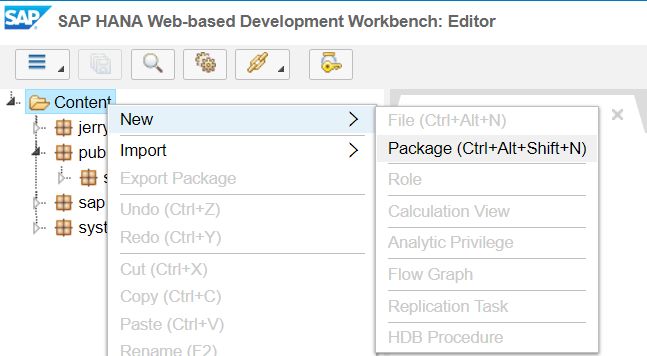 SAP Server Side JavaScript解决方案是怎样的