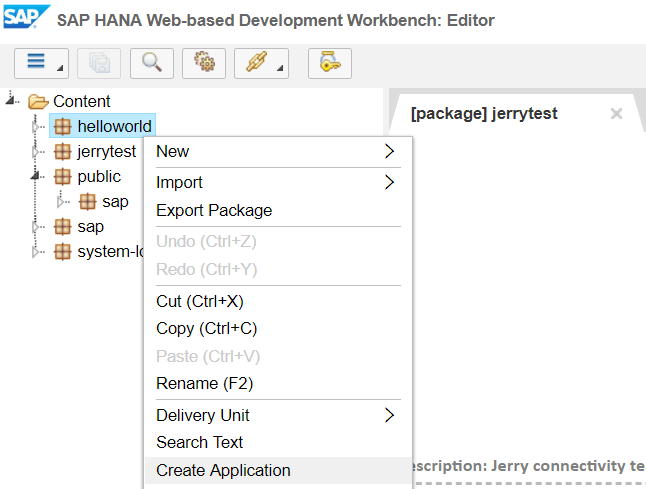 SAP Server Side JavaScript解决方案是怎样的