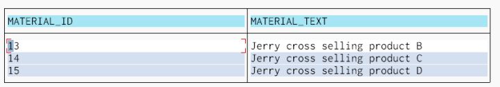 如何使用Java connector消费ABAP系统的函数