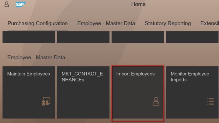 怎么在SAP S4HANA Cloud系统里创建employee