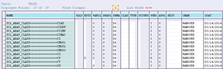 ABAP CCDEF是什么