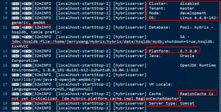 Hybris服务器启动日志实例分析