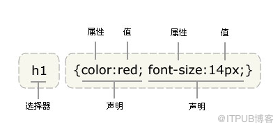 总结CSS基础知识