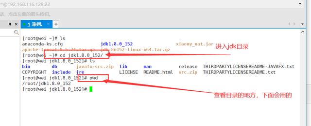 转发 微博 Qzone 微信 Linux使用「网云穿」【Centos7演示】