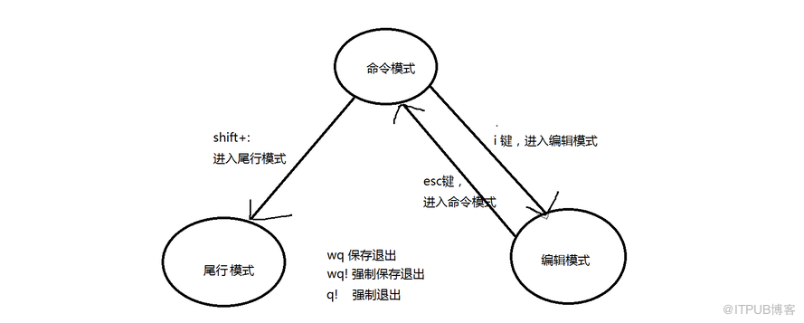 shell中常用的vi编辑命令有哪些