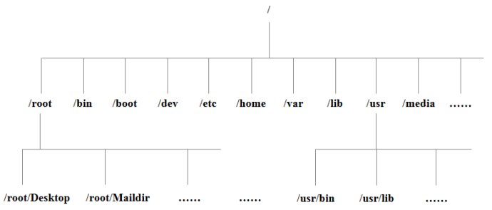 如何解读Linux系统目录结构