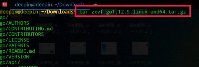 怎么在deepin上搭建Go开发环境