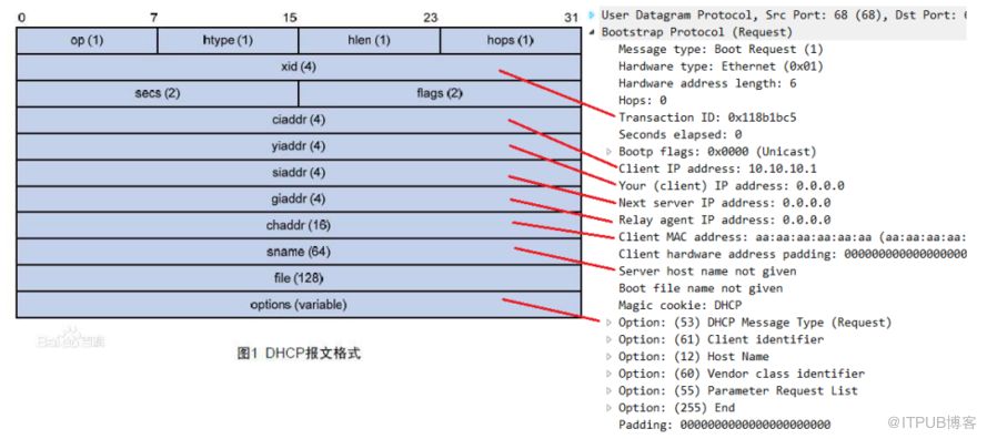 网络之DHCP原理