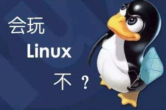 Linux为何能成为超算界的操作系统大佬?