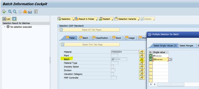 SAP业务操作查询里的通配符是什么