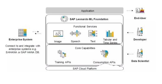 SAP战略中的机器学习