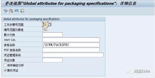 SAP EWM - 包装主数据 - 包装明细 -2