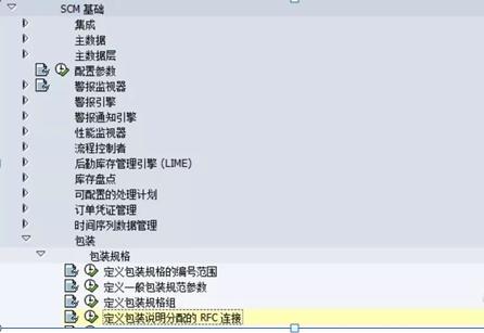 SAP EWM - 包装主数据 - 包装明细 -2