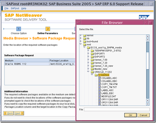 使用SWPM安裝 SAP ERP6.0 on solaris 10