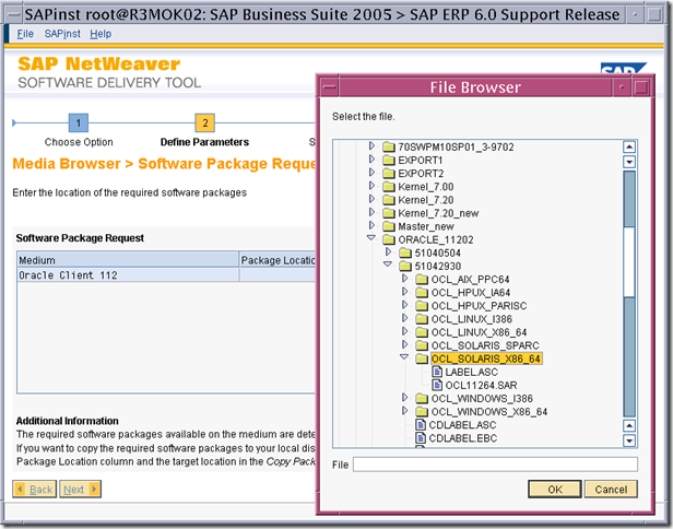 使用SWPM安装 SAP ERP6.0 on solaris 10