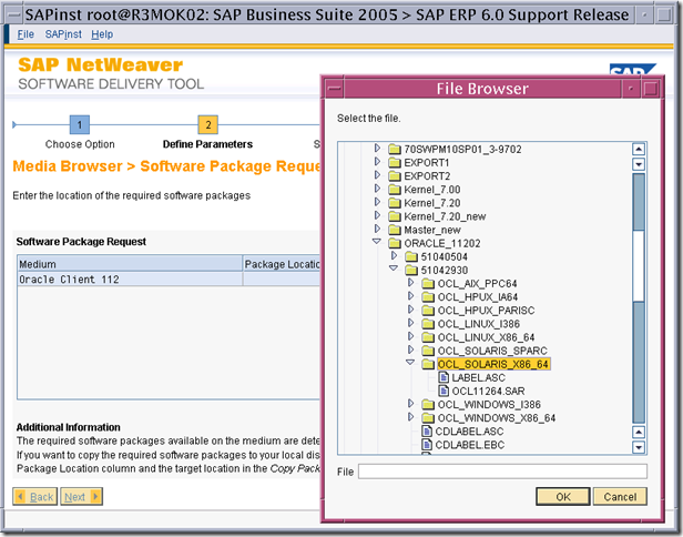 使用SWPM安裝 SAP ERP6.0 on solaris 10