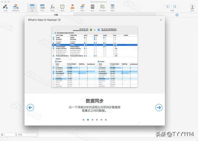 Navicat Premium for Mac数据库管理开发工具的示例分析