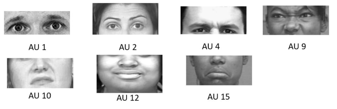 更细粒度表情运动单元检测：来自物体检测的启示