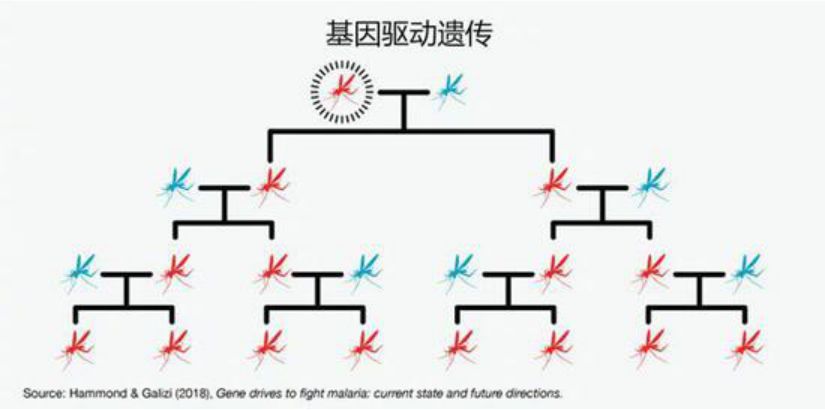 AI+基因编辑，为何成为比尔·盖茨口中的救命良方？