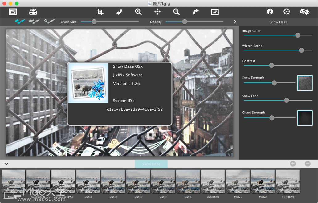 雪景效果制作软件JixiPix Snow Daze Mac有什么用