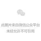 广州市海珠区政协称赞奇点云，鼓励创新科技“落地成金”