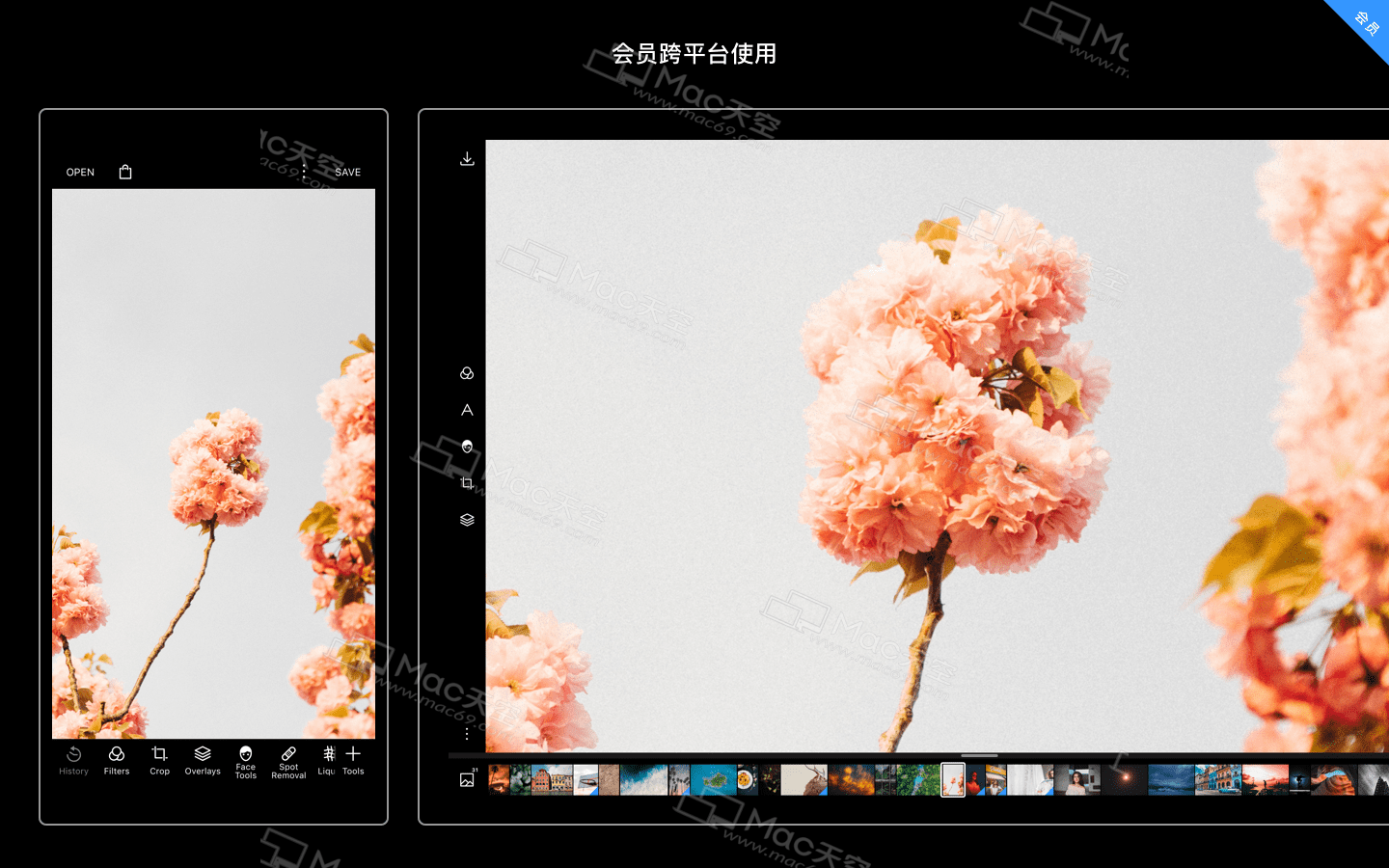 Polarr Photo Editor Pro for Mac是一款什么软件