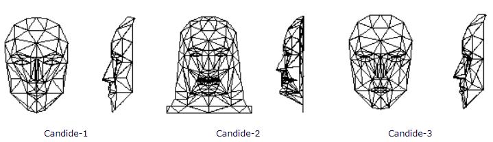 3D人脸技术漫游指南