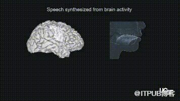 告別“霍金音”：華裔科學家設計腦機新設備，人類首次直接用腦波“說話”