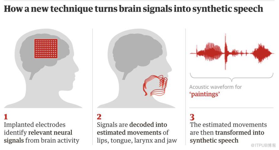 告别“霍金音”：华裔科学家设计脑机新设备，人类首次直接用脑波“说话”