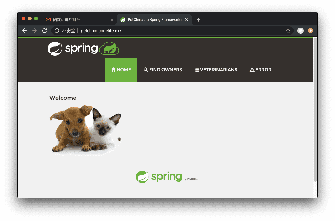 如何快速部署Spring PetClinic到函数计算平台